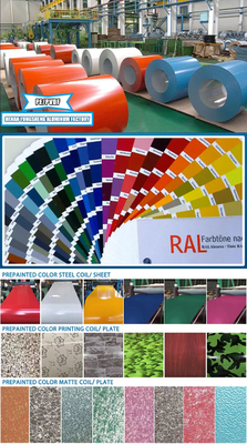 Painted PVDF Color Coated PE Aluminum Coil 1060 3003 3004 5052